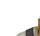 Trader