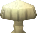 Button mushroom
