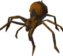 Fever spider