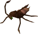 Cockroach (Easter)