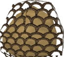 Gnomeball