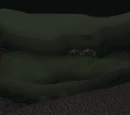 Waterbirth Island Dungeon