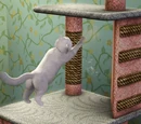 Pet objects