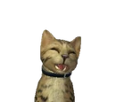 Samantha Kat
