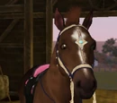 Playable pets (fanon)