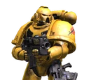 Tactical (Space Marine)