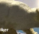 Snowstalker