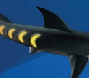 Sharkopath