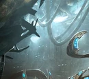 Koprulu Expeditionary Force