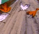 Chicken