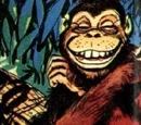Monkey