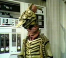 The Ergon