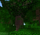 Rubber Tree (RedPower2)