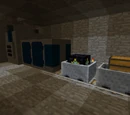Tunnel Bore