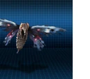 Insectoid Monsters