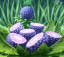 Pineapprune