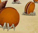 Dorayarmit Crab