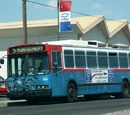 Compressed natural gas