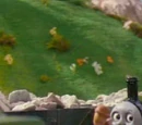 Donald's Duck