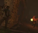 Co-op Shade Survival