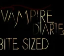 Bite Sized