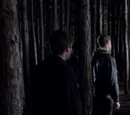 The Sacrifice of Twelve Hybrids