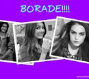 Gallery:Borade