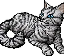 Silverstream