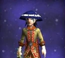 Smogger's Formal Robe