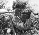 Fallshirmjäger (Definition)