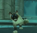 Image of Mr. Bigglesworth