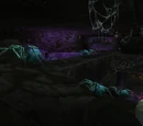 Skitterweb Tunnels