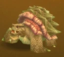 Mudrock Borer