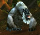 Silverback Patriarch