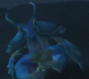 Coast Crawl Deepseer