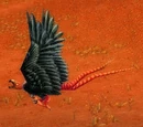 Giant Buzzard