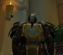 Tabard of the Explorer