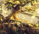Tree of Life Form