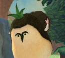 Lopsa