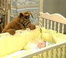 Baby Love