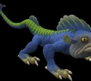 Garoupa