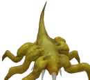 Parasite