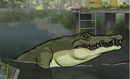 Alligator.png