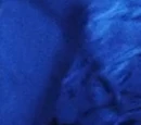 Streib