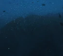 Rapture