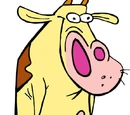 Cow