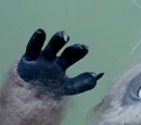The Abominable Snowmonster of the North