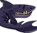 Megalodon