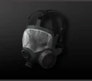 Mask