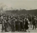 The Holocaust